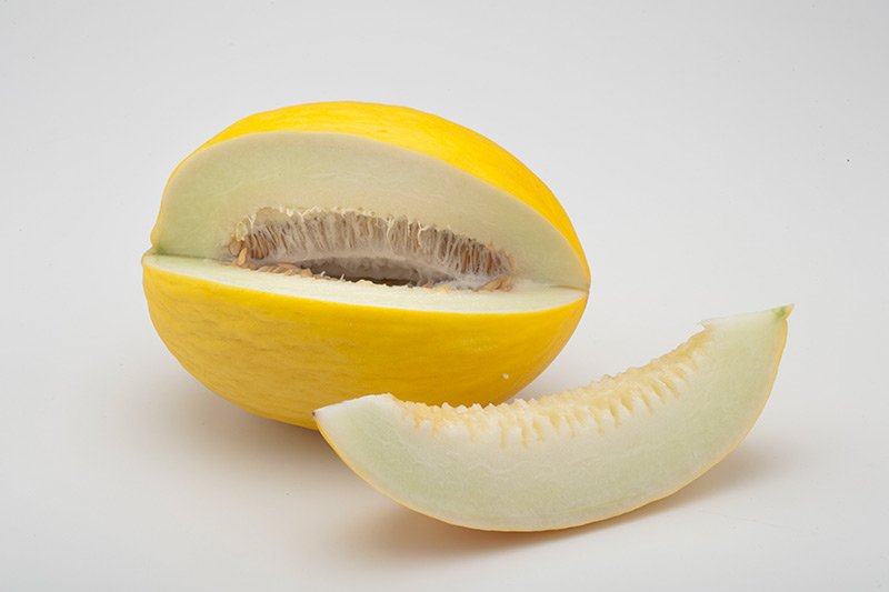 JANDAIA F1