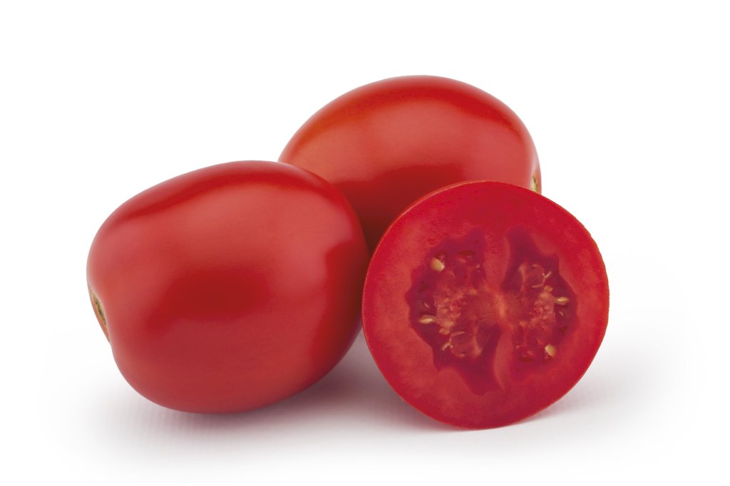 PUMATIS F1